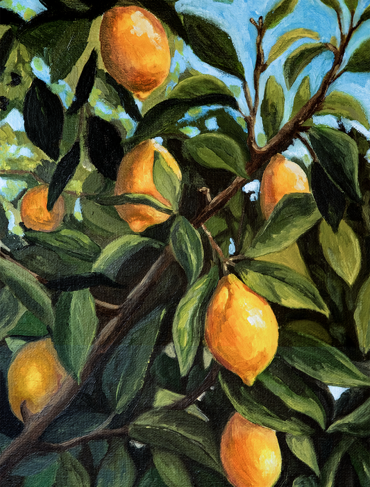 Tableau du mois de Juin : Citronnier 🍋