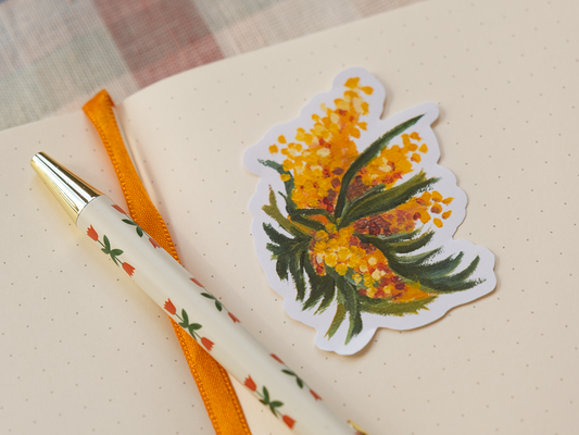 mimosa 🏵️
