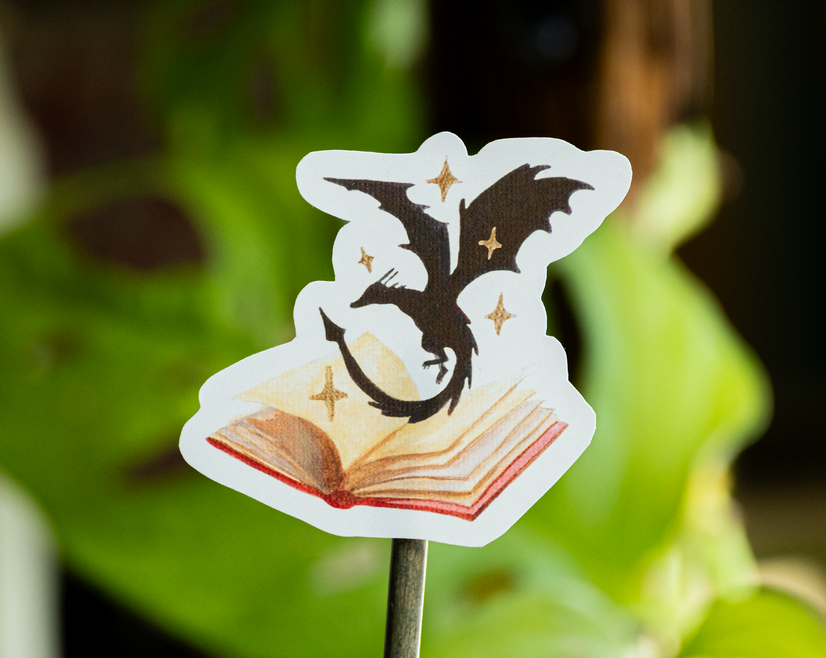 Fantasy book