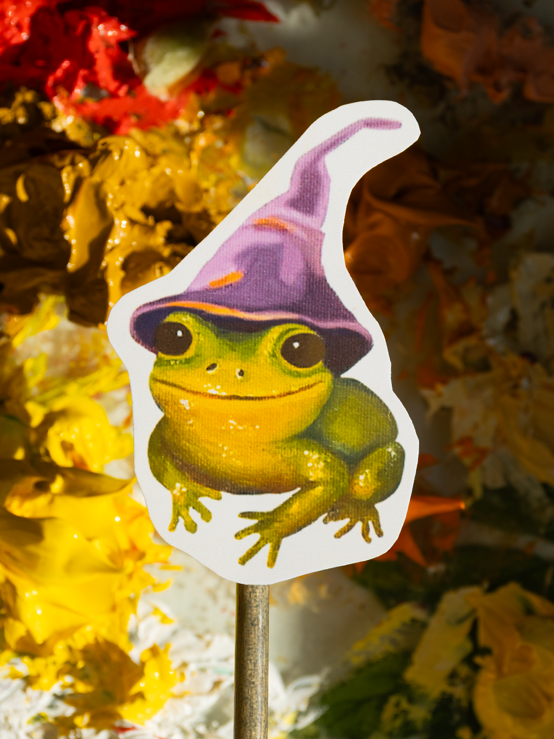 Grenouille sorcière