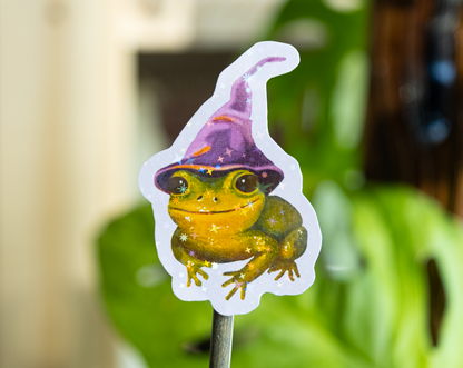 Shining grenouille sorcière