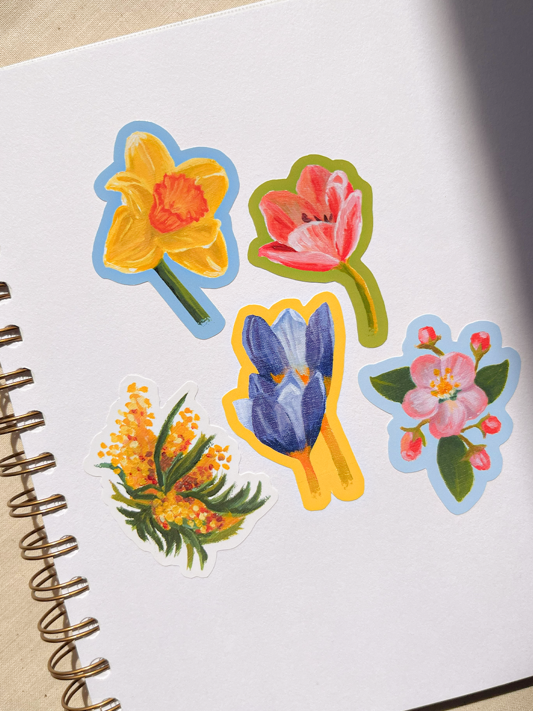 Pack fleurs de printemps 🌼