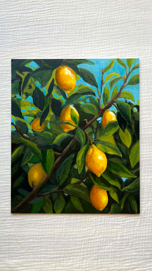 Tableau du mois de Juin : Citronnier 🍋