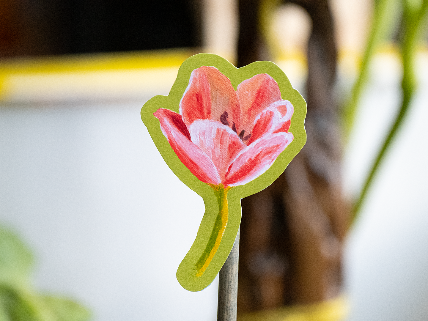 Tulipe 🌷